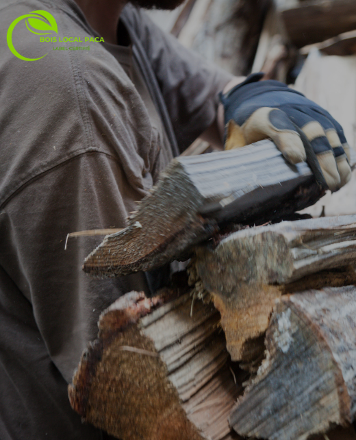 un homme en tee shirt gris porte pleins de bûches empilées dans ses mains.