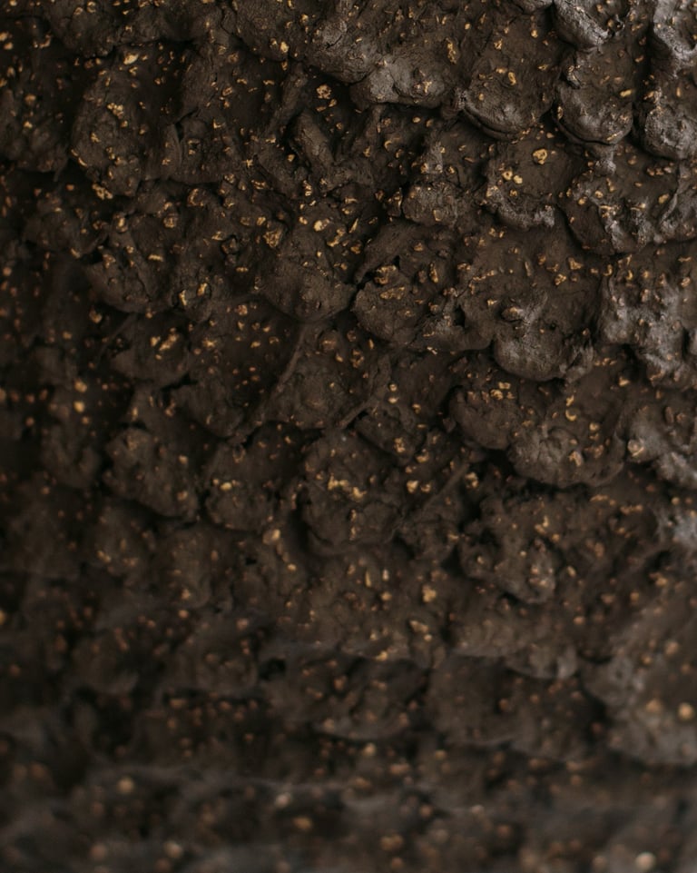 Détail d'une sculpture en grès noir modelée artisanalement par Sabine Segura