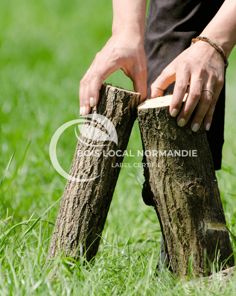 deux bûches tenues par une personne