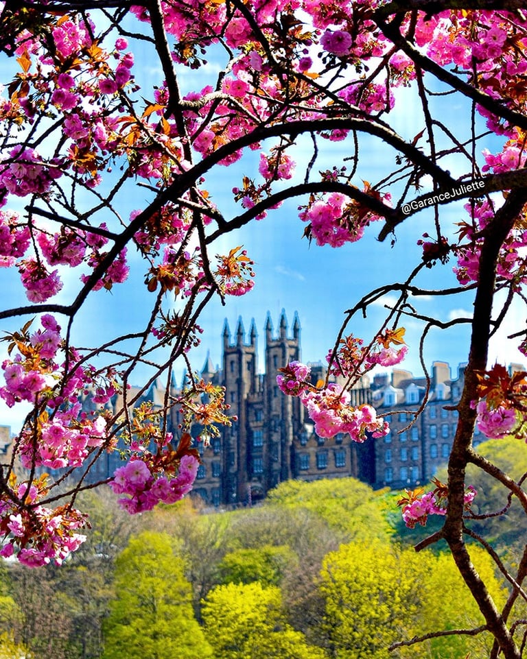 New College vue depuis Princes Street entouré de fleurs
