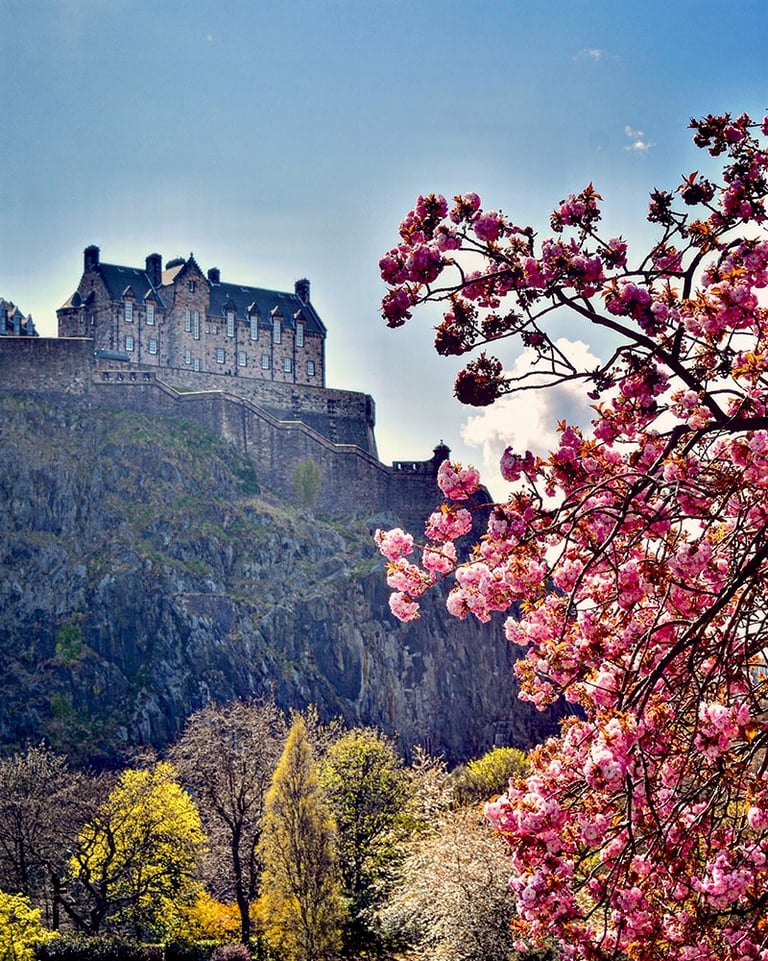 Château d'Edimbourg depuis Princes Street et ses arbres fleuris