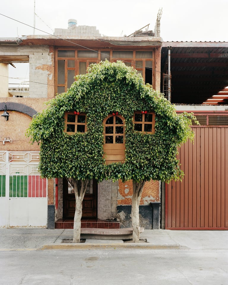 Miradors ( topiaires)