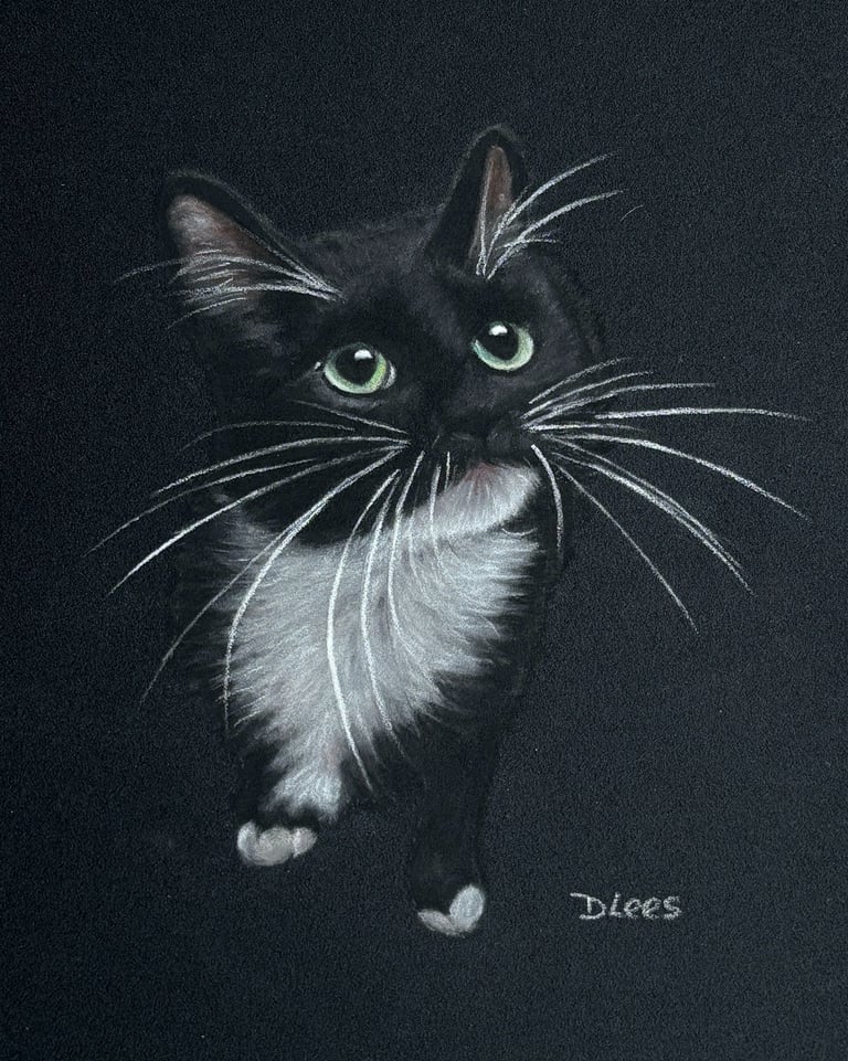 Soft pastel drawing of a Tuxedo black and white kitten