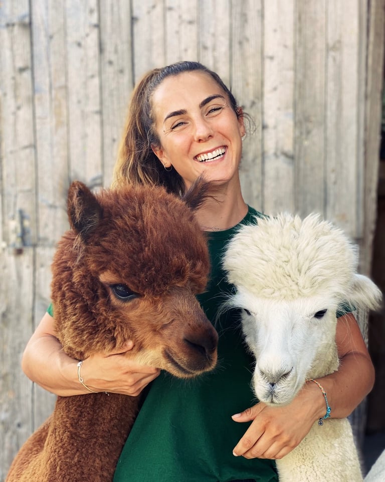 Psychotherapie mit Alpakas