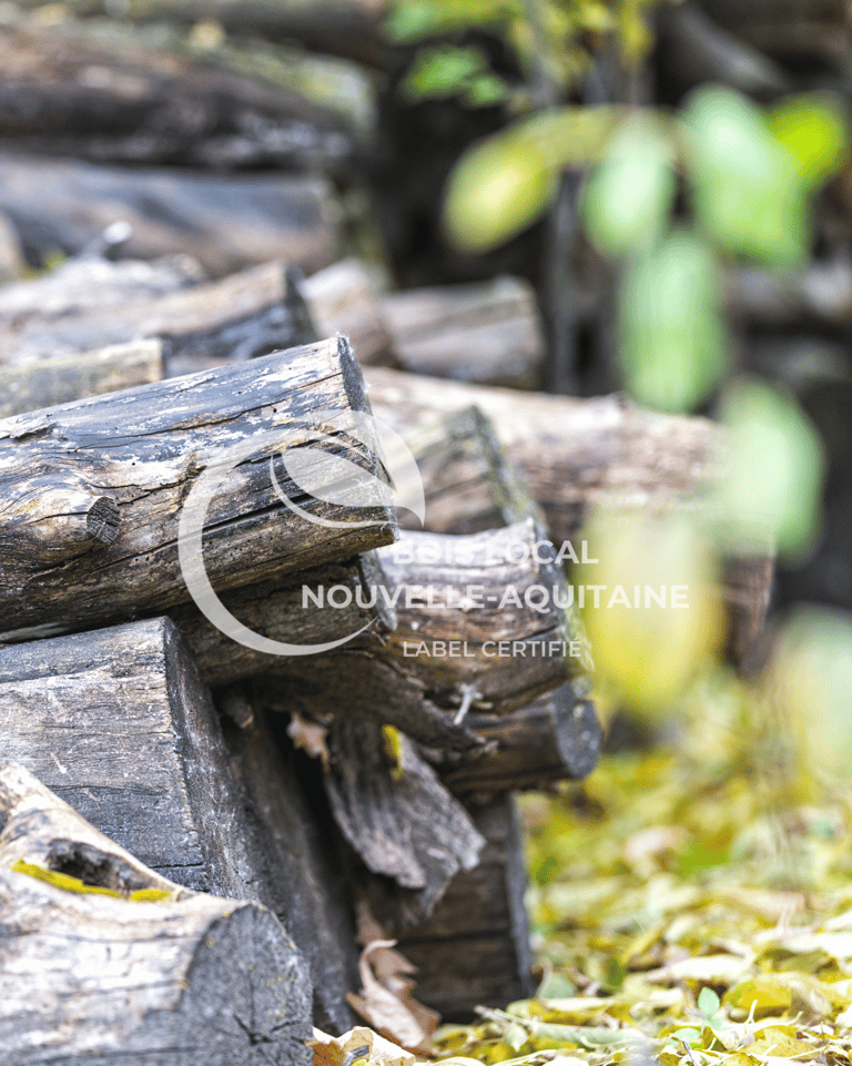 une pile de bûches posée sur le sol
