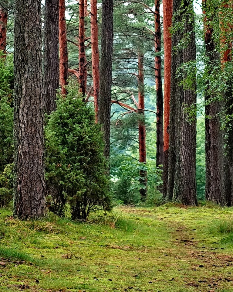 une scène forestière de la verdure au premier plan