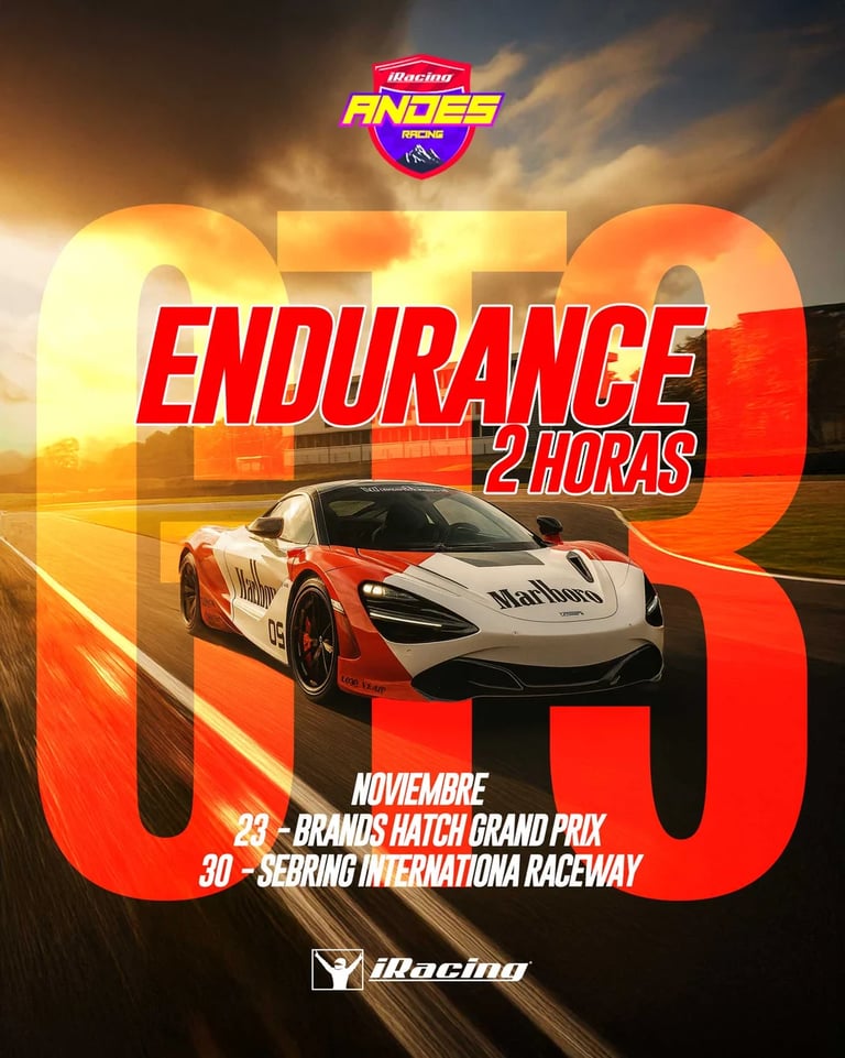 Andes Racing Endurance GT3