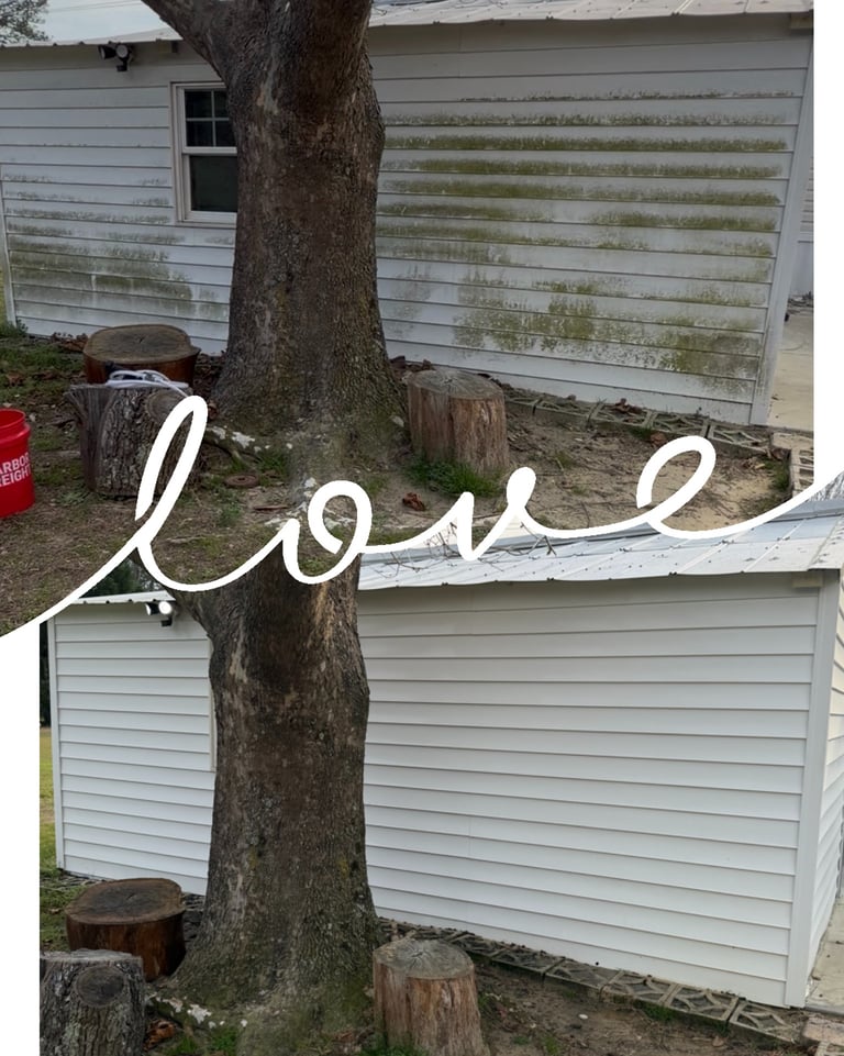Wilson NC Lawn Care Services | Rubio's Lawn Care & Landscaping