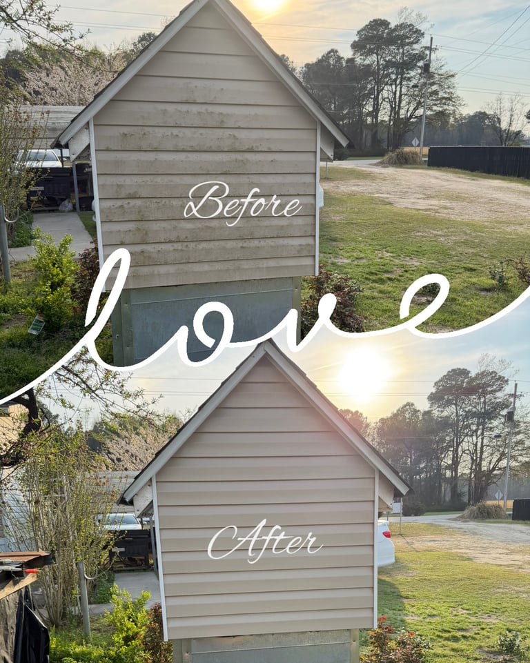 Wilson NC Lawn Care Services | Rubio's Lawn Care & Landscaping