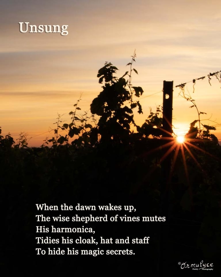 Unsung  - Journey in Poetry by Ormulyce