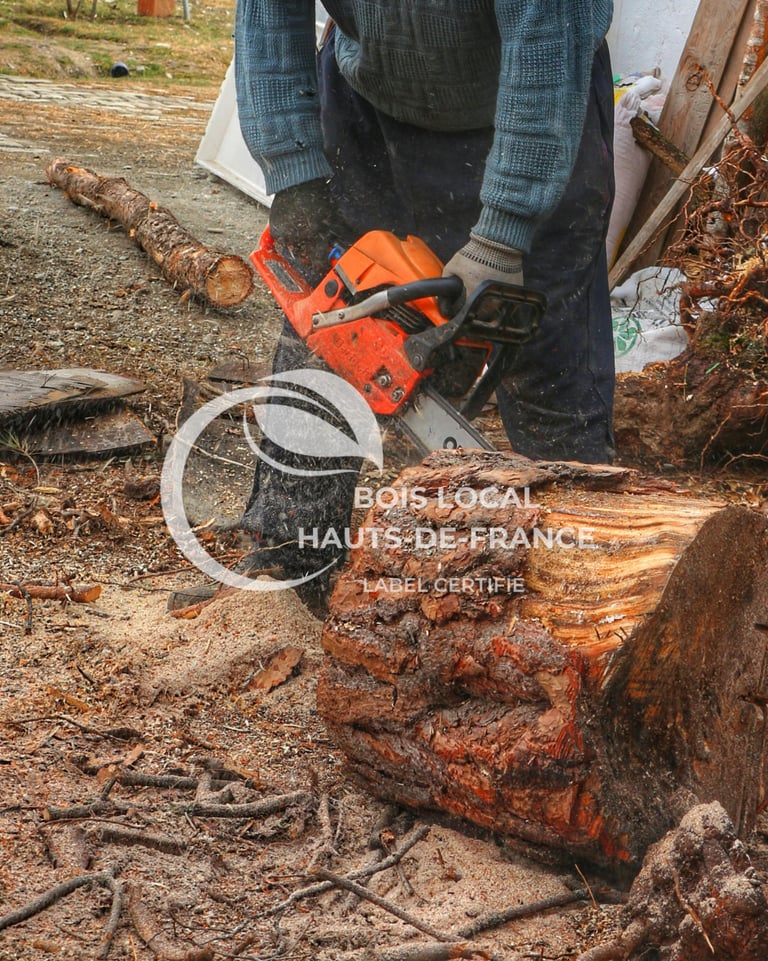 un homme utilise une tronçonneuse pour abattre un arbre
