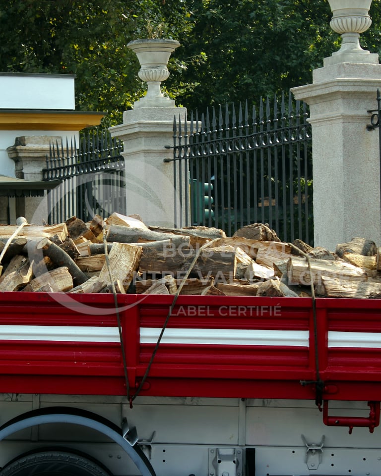 un camion avec beaucoup de bûches à l'arrière