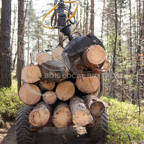 une machine à débiter le bois se déplace dans les bois