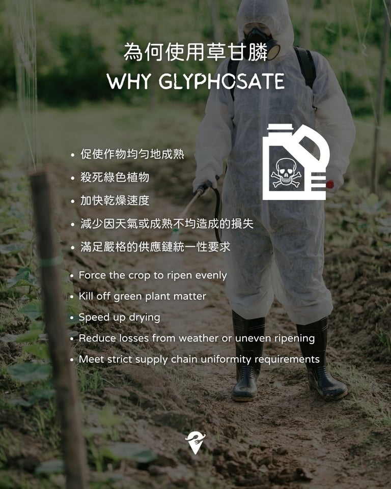 why use glyphosate force crops to ripen kill off weeds