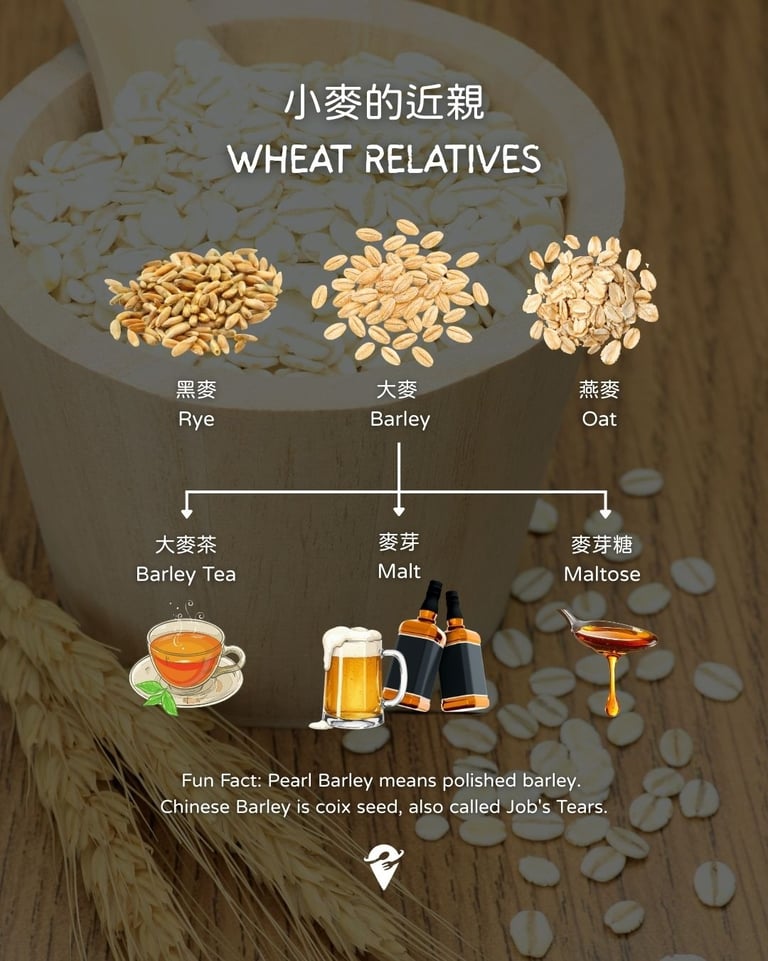 barley rye oat maltose diagram