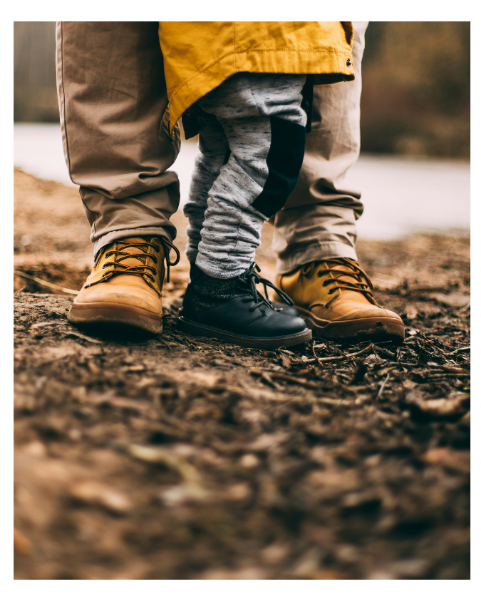 The Law Collective, family law and personal legal advice
