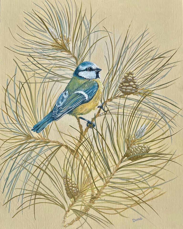 Peinture acrylique sur toile, titre de l’œuvre : "Rêve de Laricio" mésange bleue et pin Laricio