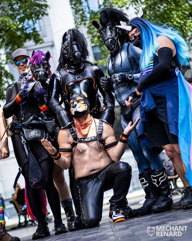 Animal players posing in full gear and masks.