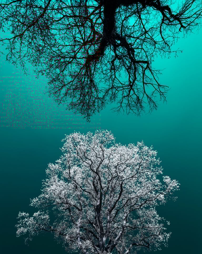 Paysage infrarouge artistique par David Keochkerian