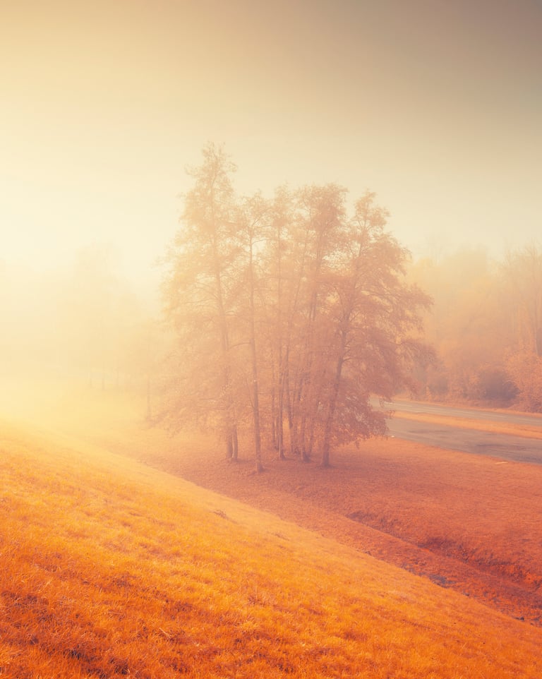 Paysage infrarouge artistique par David Keochkerian