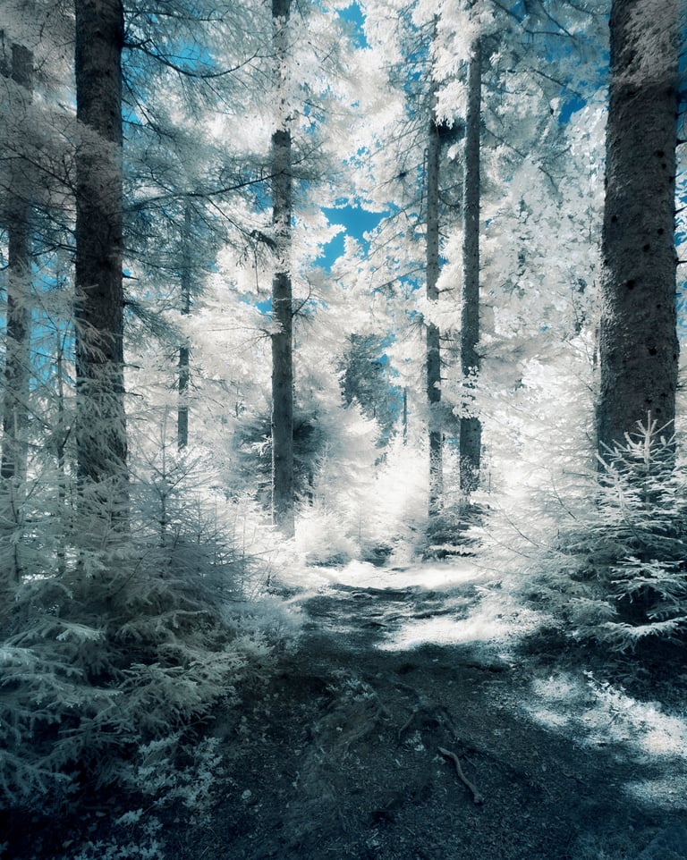 Paysage infrarouge artistique par David Keochkerian