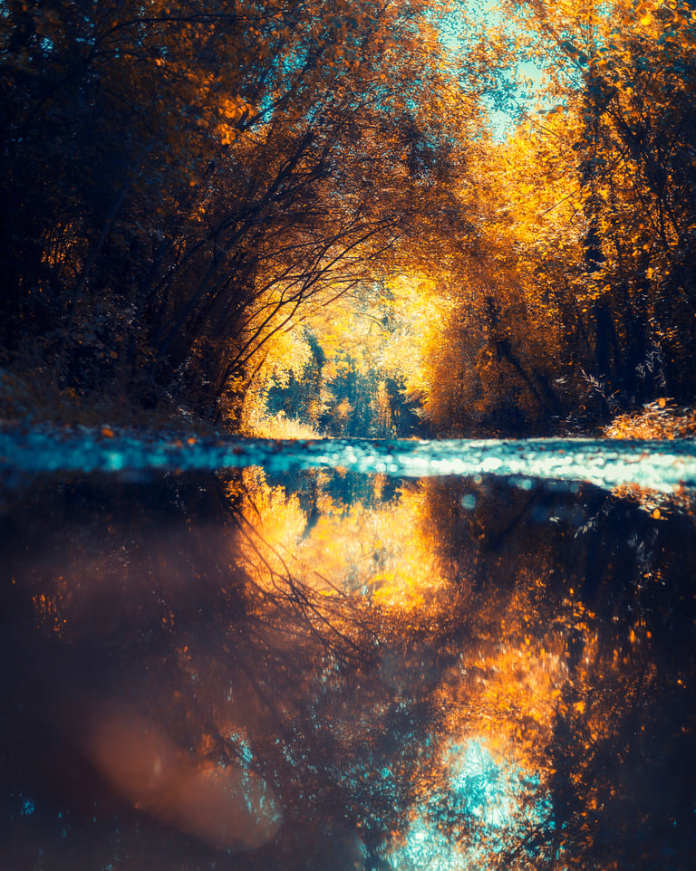 Paysage infrarouge artistique par David Keochkerian