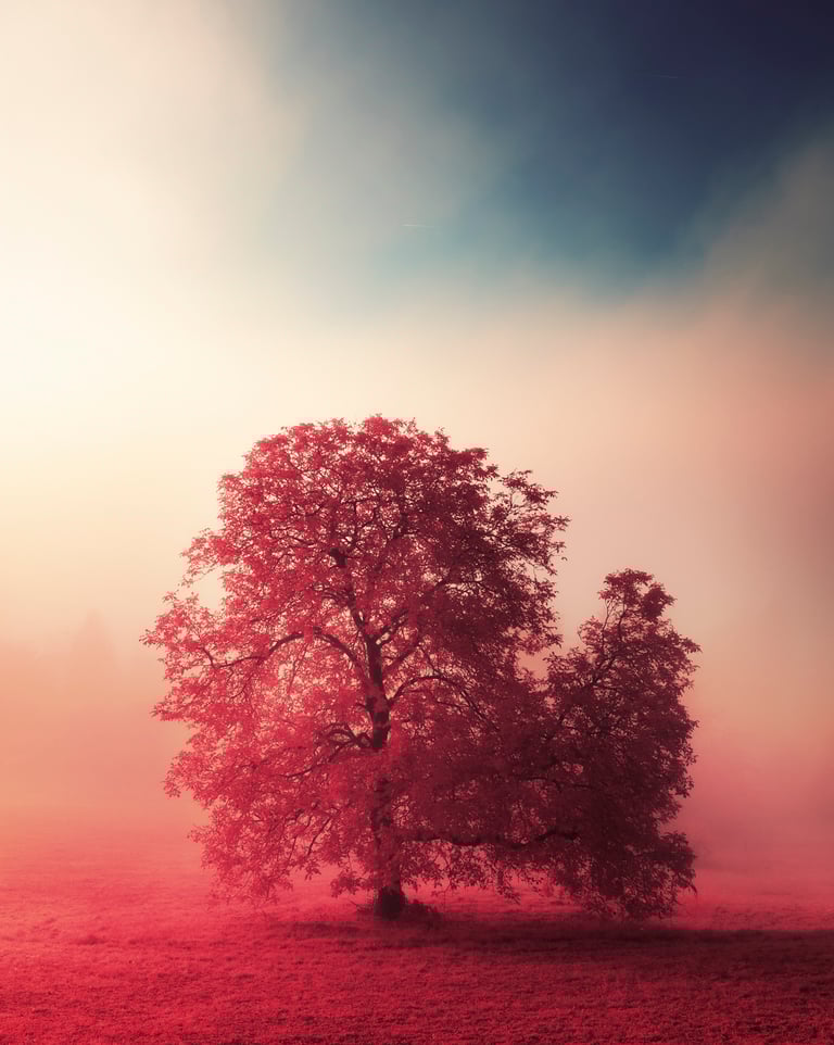 Paysage infrarouge artistique par David Keochkerian