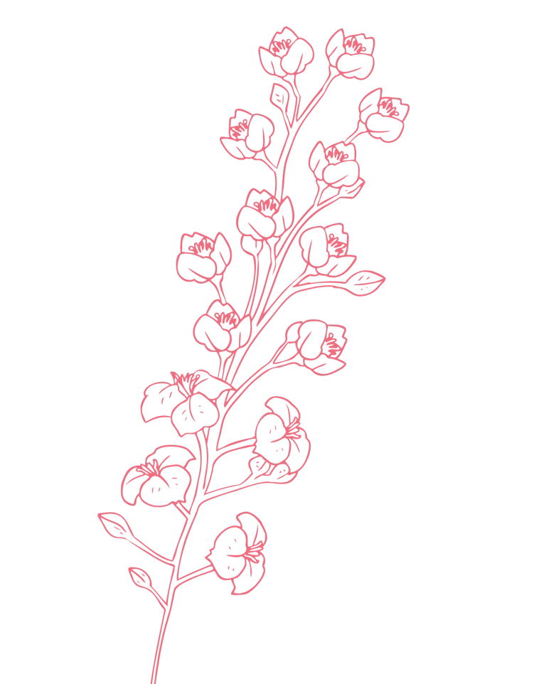 Motif décoratif fleurs - Wendy Baqué, chroniqueuse littéraire.