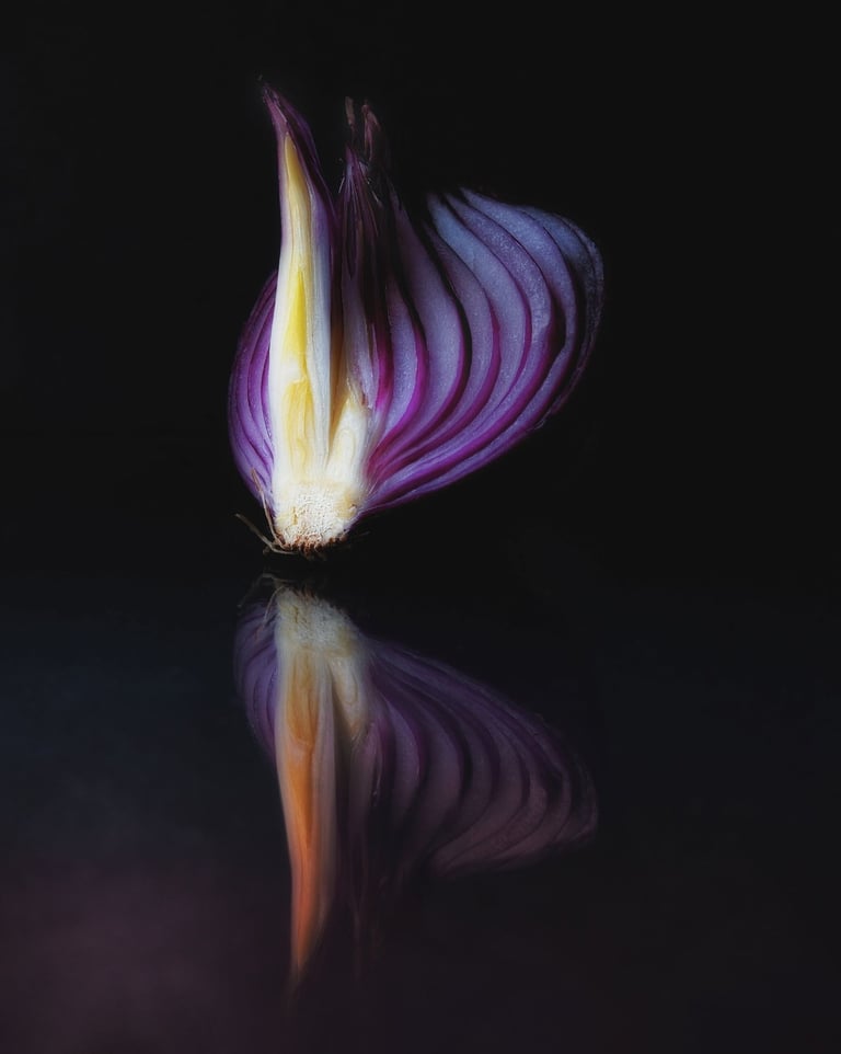 Photographie d un oignon rouge thierry le moel photographe