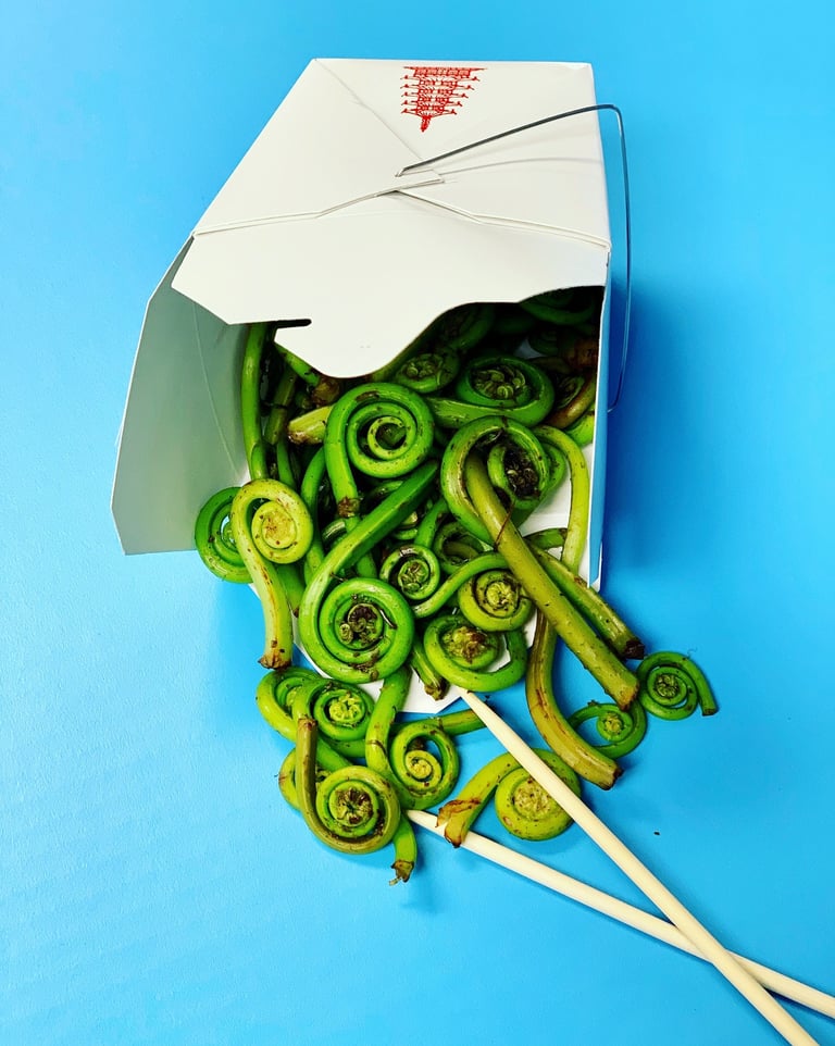 fiddlehead ferns