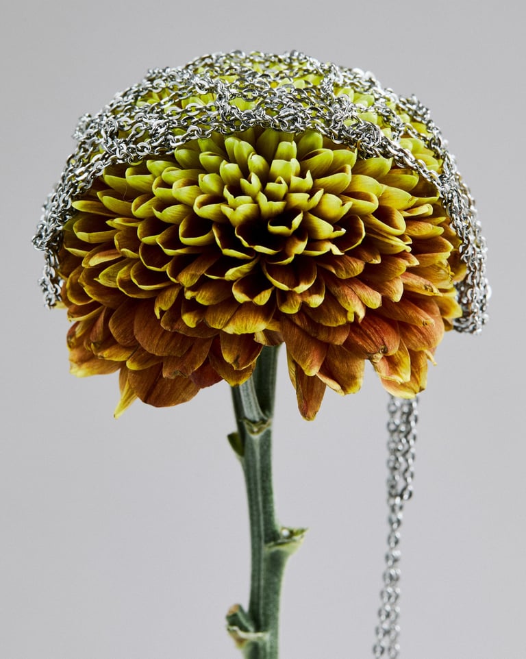 A vibrant yellow and orange dahlia flower draped with delicate silver jewelry chains.