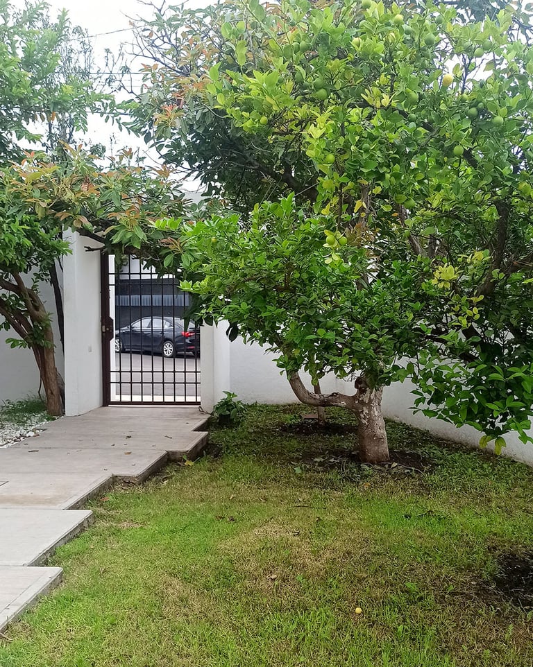 pasillo de entrada de casa en venta en juriquilla