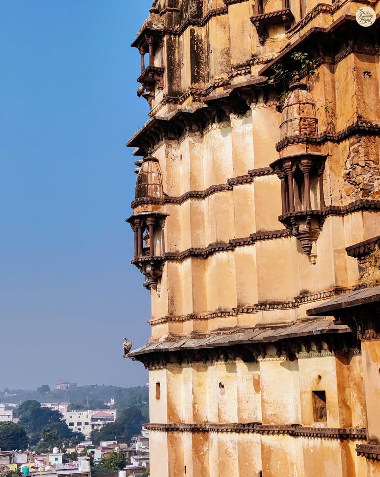 A vulture rests atop the temple spire - Orchha's silent guardian.