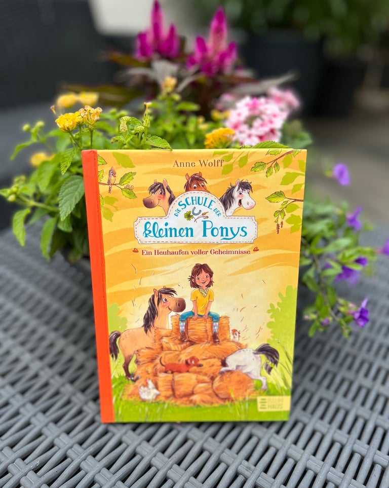Pferdebuch Die Schule der kleinen Ponys