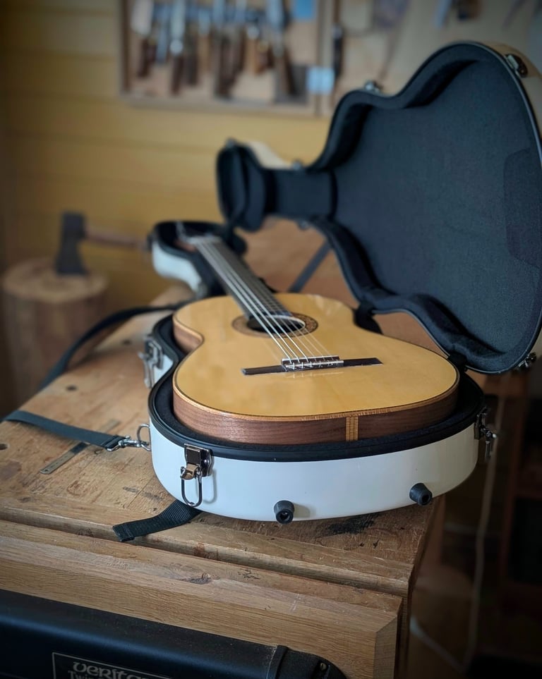 handmade guitar in case