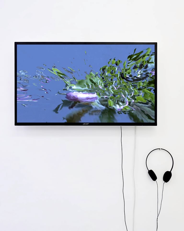 digital art, video installation,  joanna wlaszyn