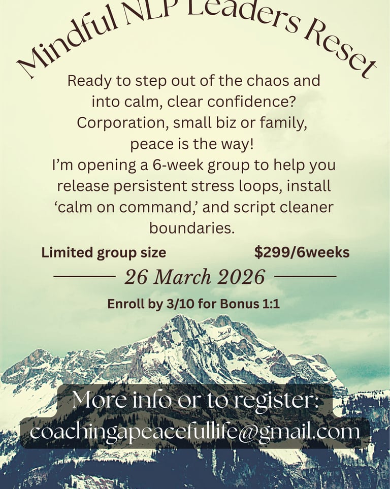 Mindful NLP Leaders Reset workshop flyer featuring a snowy mountain range and registration details.