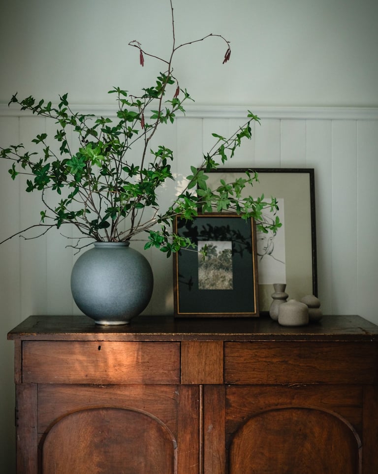 a vase with a plant in it on a dresser