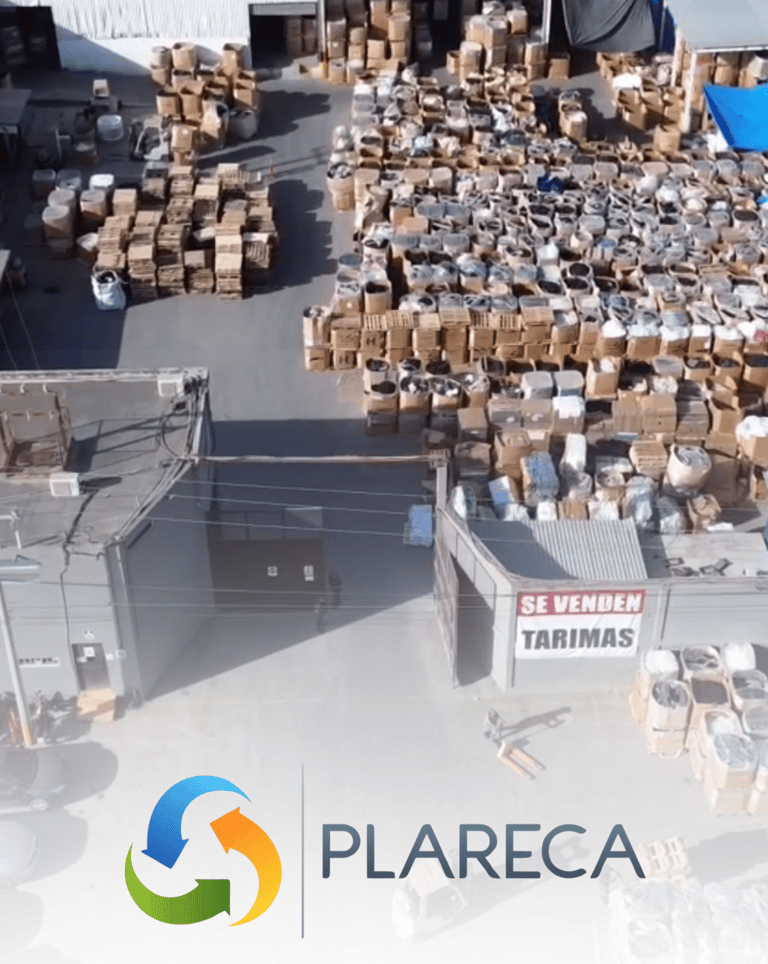 PLARECA PLANTA