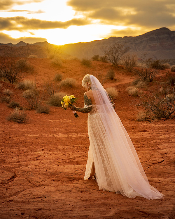 a bride in a wedding dress in the desert