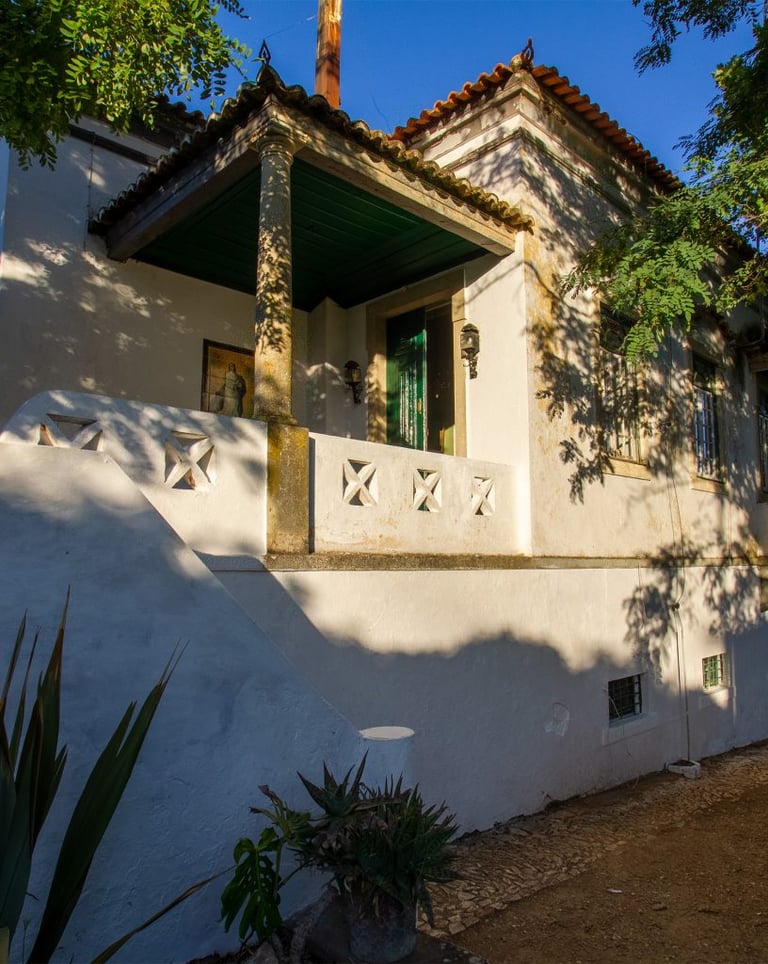 Classic white Mediterranean style villa with a terracotta roof, stone terrace, and lush garden trees.