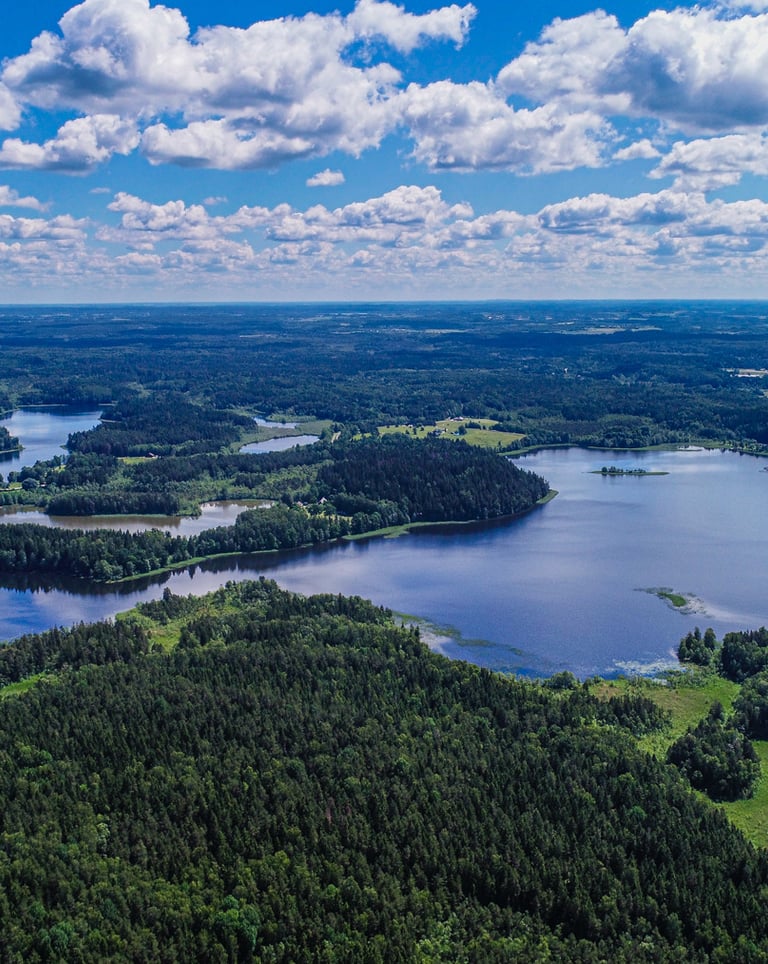 a view of a lake and a forest