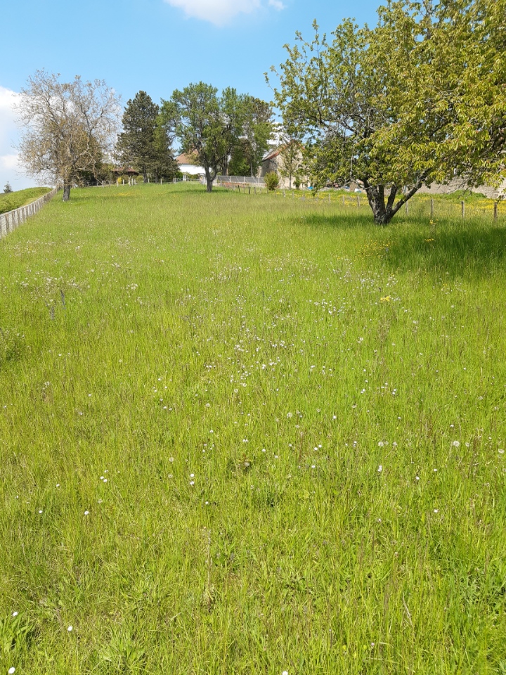 entretien jardin cluny 71