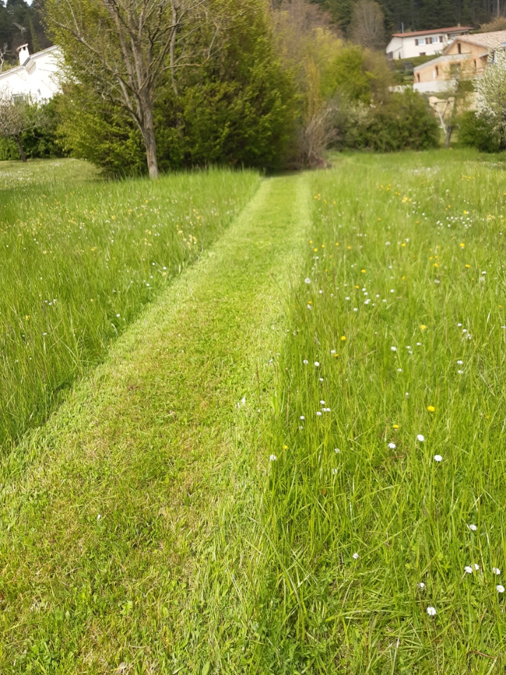 tonte entretien paysager