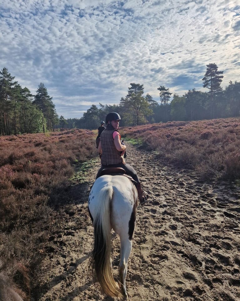 a woman riding a horse in the middle of a field