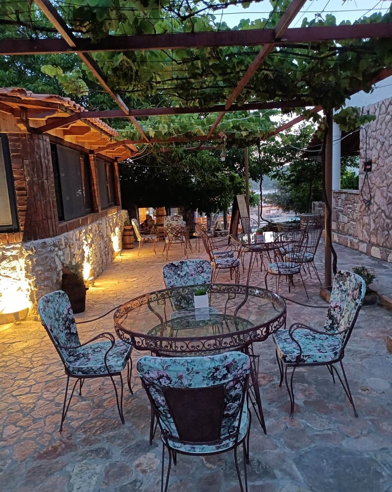 Enjoy your meal under the grapes at John's Guesthouse in Ksamil