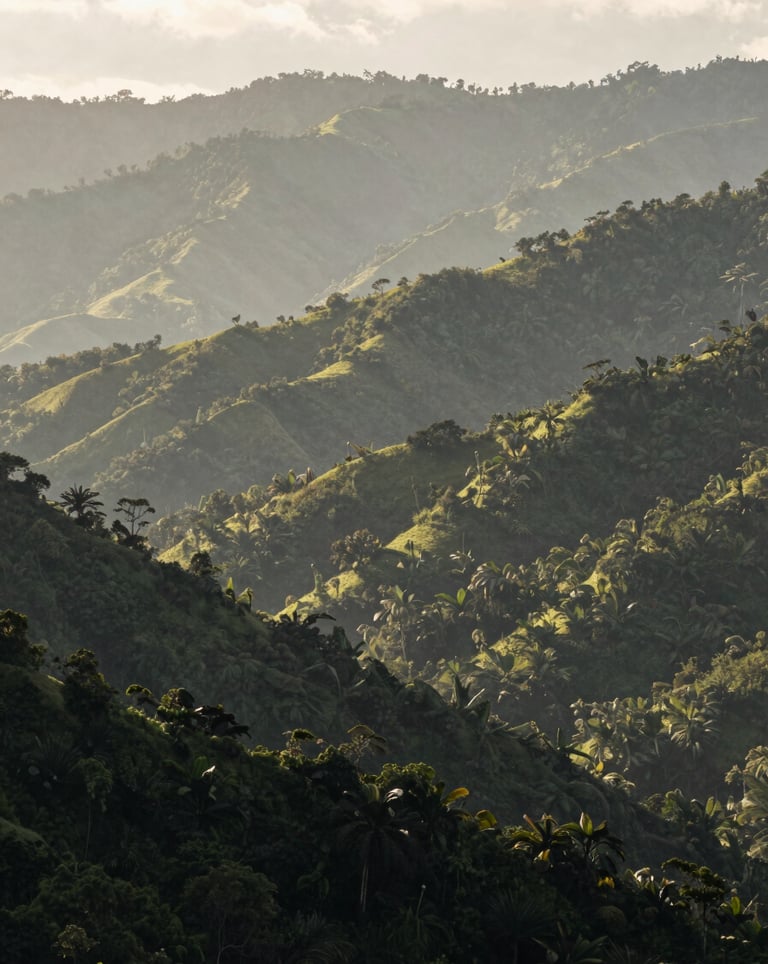 A wide-angle landscape photograph of the misty Talamanca mountains in a Central American / Costa Rican setting. Layers of deep charcoal forest green and muted sage green hills under a soft, diffused morning light.