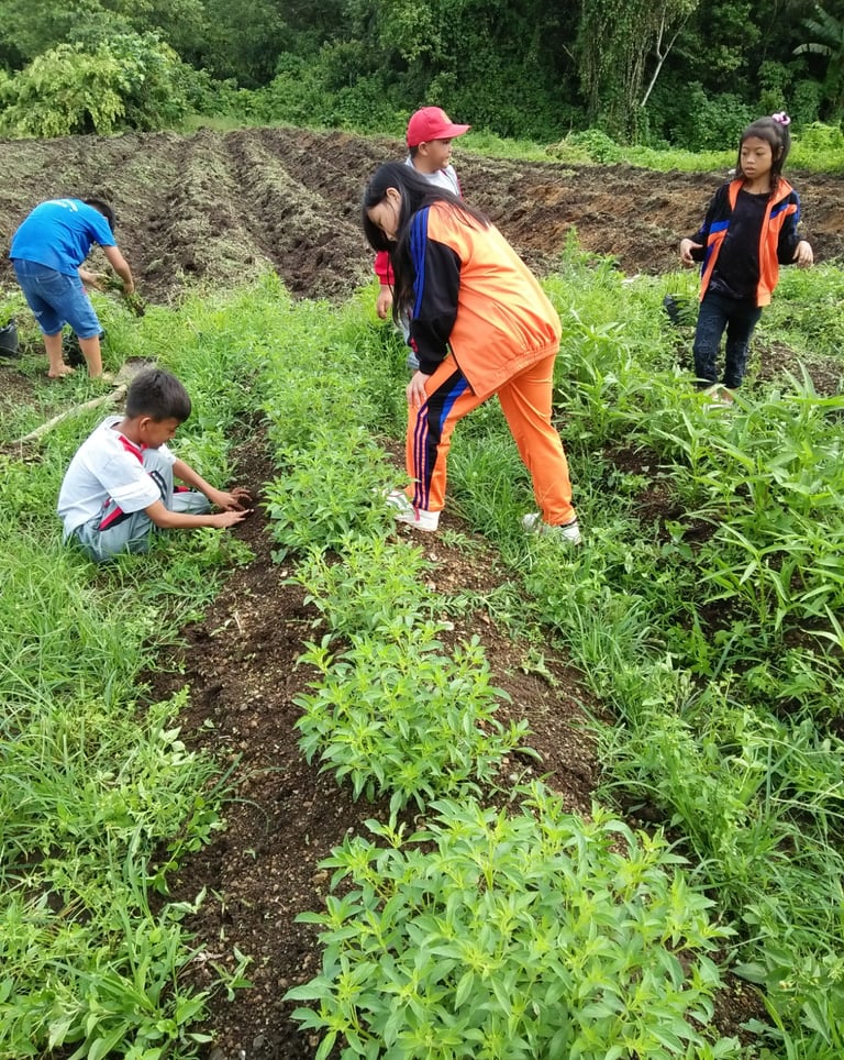 a group of children working in a field