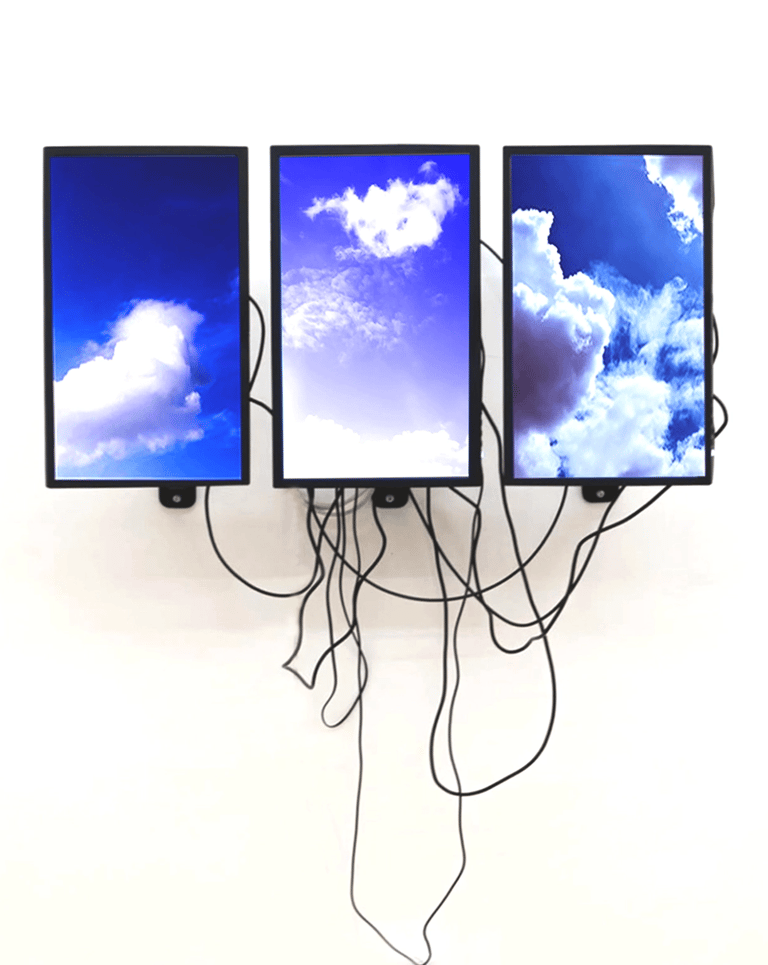 digital art, video installation,  joanna wlaszyn