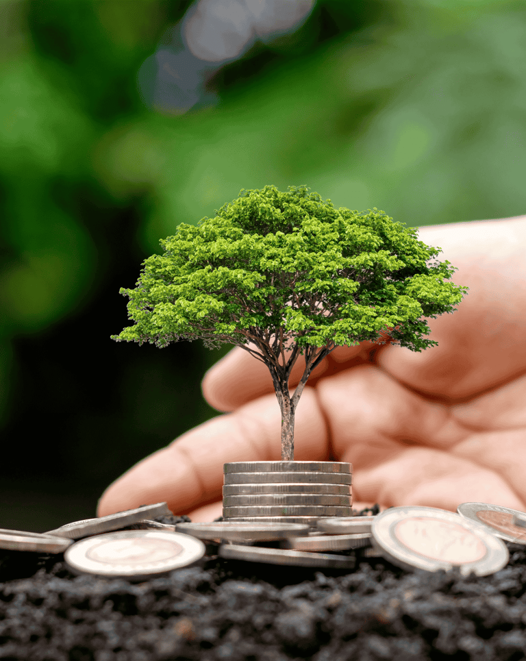 Hemp and the circular economy